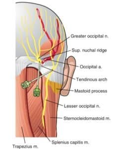 BLOG 37 img 2260 - novembro 2025