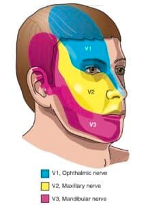 BLOG 40 img 2261 - novembro 2025