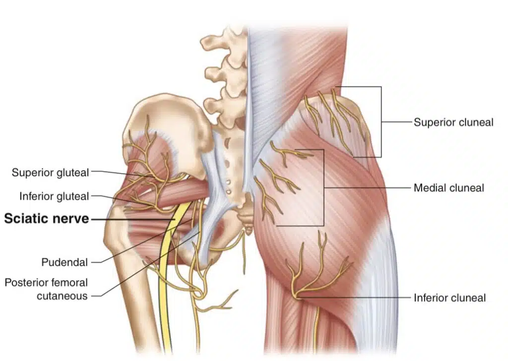 img 2264 - março 2026